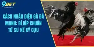 Cách Nhận Diện Gà Đá Mạnh: Bí Kíp Chuẩn Từ Sư Kê Kỳ Cựu