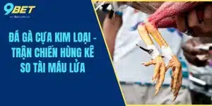 Đá Gà Cựa Kim Loại - Trận Chiến Hùng Kê So Tài Máu Lửa