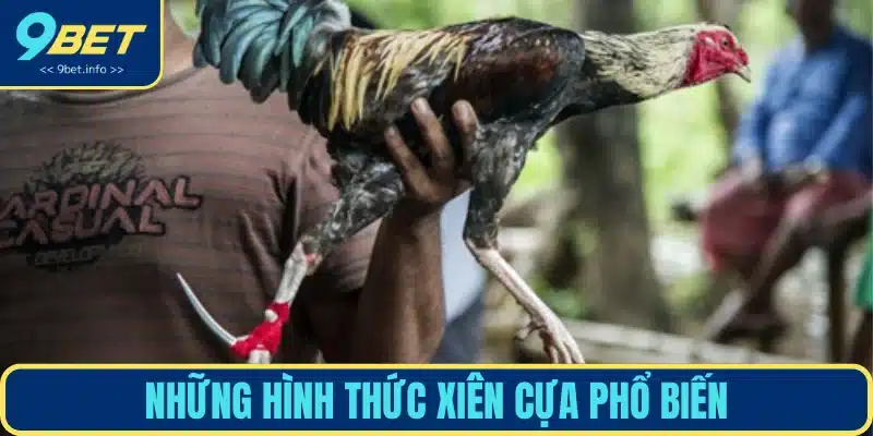 Những hình thức đá gà xiên cựa đáng chơi