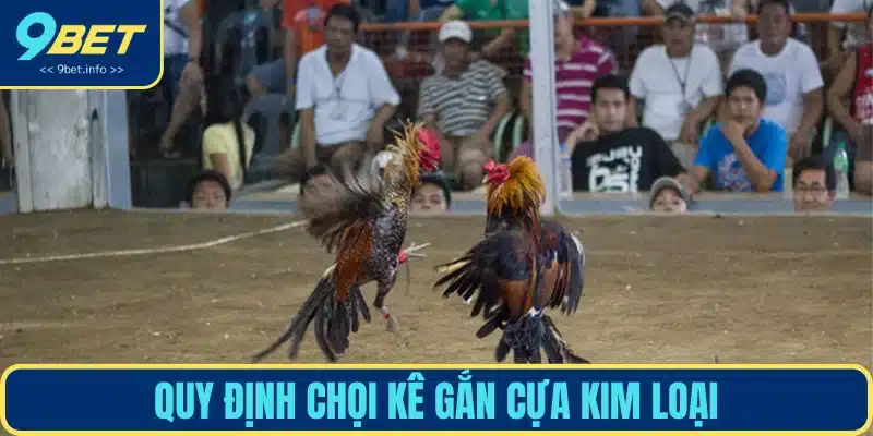 Những quy định thi đấu chuẩn xác