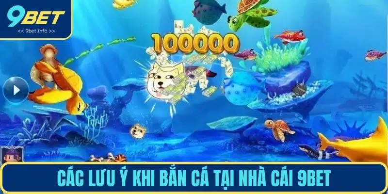 Các lưu ý khi bắn cá tại nhà cái 9BET