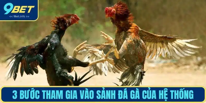 3 bước tham gia vào sảnh đá gà của hệ thống