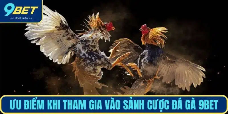 Ưu điểm khi tham gia vào sảnh cược đá gà 9BET